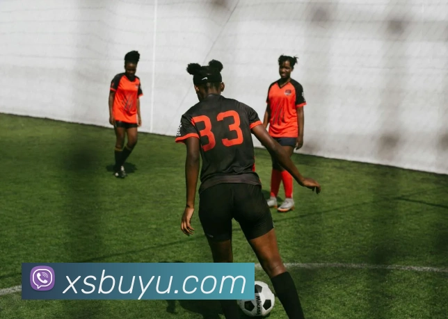 线上捕鱼平台平台生态图